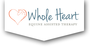 Equine Assisted Therapy